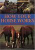 How_your_horse_works