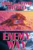 Enemy_way