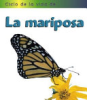 Ciclo_de_vida_de_la_mariposa