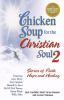 Chicken_soup_for_the_Christian_soul_II