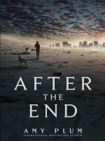 After_the_end