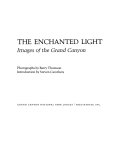 The_enchanted_light
