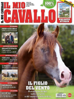 Il_mio_Cavallo