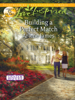 Building_a_Perfect_Match
