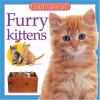 Furry_kittens