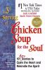 A_3rd_serving_of_chicken_soup_for_the_soul